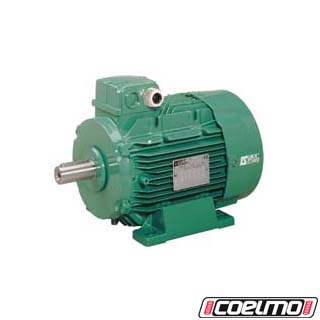 MOTEUR ASYNCHRONE LEROY SOMER 4P LS160MP 11KW B3 400D EFF2